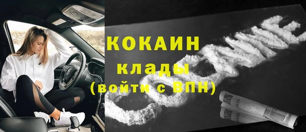 шишки Аркадак