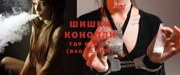 spice Арсеньев