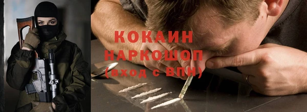 шишки Аркадак
