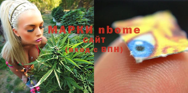 шишки Аркадак