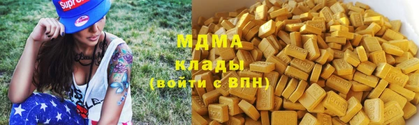 шишки Аркадак